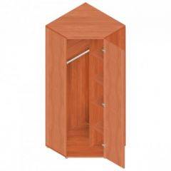 Шкаф для одежды "Референт" Р.Ш-10 в Кунгуре - kungur.mebel24.online | фото