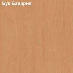 Стол-приставка Логика Л-2.07 (опора "Ронделла") в Кунгуре - kungur.mebel24.online | фото 2