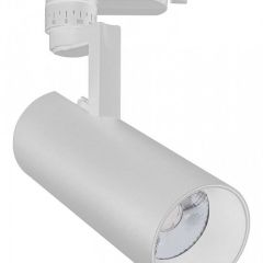 Светильник на штанге Escada 20029 20029TRA/01LED SWH в Кунгуре - kungur.mebel24.online | фото