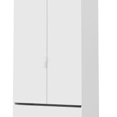 Токио Шкаф двухстворчатый с двумя ящиками в Кунгуре - kungur.mebel24.online | фото