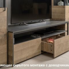Трувор Тумба под ТВ 13.70 в Кунгуре - kungur.mebel24.online | фото 3