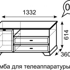 Тумба для телеаппаратуры Венеция 6 бодега в Кунгуре - kungur.mebel24.online | фото 2