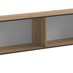 Тумба под ТВ Оскар Лофт (Дуб Золотой) в Кунгуре - kungur.mebel24.online | фото 2