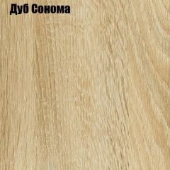 Угловой шкаф-купе Лофт (Дуб Сонома) в Кунгуре - kungur.mebel24.online | фото 3