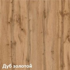 Вуди Шкаф для одежды 13.138 в Кунгуре - kungur.mebel24.online | фото 4