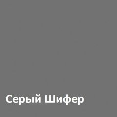 Юнона Шкаф торцевой 13.221 в Кунгуре - kungur.mebel24.online | фото 2