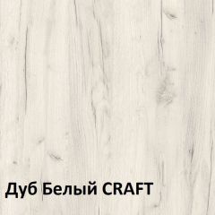 Юнона Шкаф торцевой 13.221 в Кунгуре - kungur.mebel24.online | фото 3
