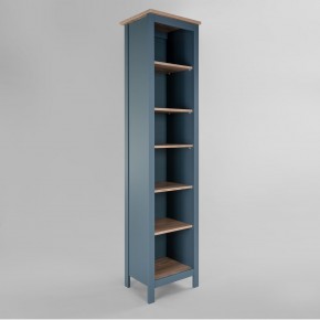 2.08.07.100.16 САГА стеллаж 50 темно-бирюзовый/ясень RU в Кунгуре - kungur.mebel24.online | фото