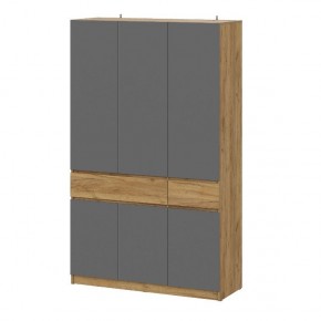 АВИНЬОН Шкаф 3-х створчатый с ящиками в Кунгуре - kungur.mebel24.online | фото