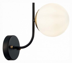 Бра EVOLUCE Ciane SLE1098-401-01 в Кунгуре - kungur.mebel24.online | фото 3