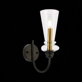 Бра EVOLUCE Rammo SLE112401-01 в Кунгуре - kungur.mebel24.online | фото 8