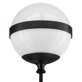 Бра Lightstar Globo 813617 в Кунгуре - kungur.mebel24.online | фото 3