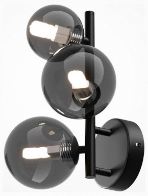 Бра Maytoni Dallas MOD545WL-03B в Кунгуре - kungur.mebel24.online | фото 2