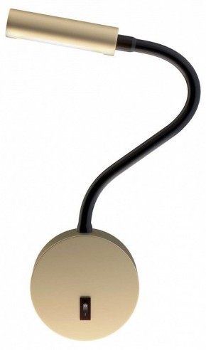 Бра Maytoni Stem C035WL-L3MG3K в Кунгуре - kungur.mebel24.online | фото