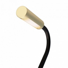 Бра Maytoni Stem C035WL-L3MG3K в Кунгуре - kungur.mebel24.online | фото 6