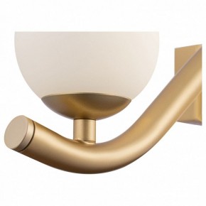 Бра Maytoni Uva MOD059WL-05G в Кунгуре - kungur.mebel24.online | фото 3