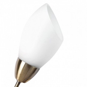 Бра MW-Light Нежность 7 356023001 в Кунгуре - kungur.mebel24.online | фото 2