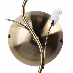 Бра MW-Light Нежность 7 356023001 в Кунгуре - kungur.mebel24.online | фото 3