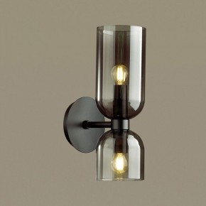 Бра Odeon Light Orinoco 4804/2W в Кунгуре - kungur.mebel24.online | фото 2