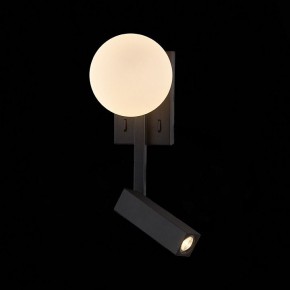 Бра с подсветкой ST-Luce Botelli SL1581.401.02 в Кунгуре - kungur.mebel24.online | фото