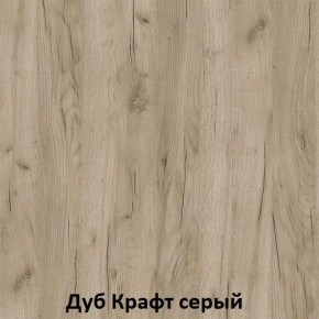 ДАРЬЯ Гостиная (Крафт серый/Крафт белый) в Кунгуре - kungur.mebel24.online | фото 2