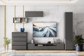 ДЕНВЕР Пенал (Графит серый) в Кунгуре - kungur.mebel24.online | фото 4