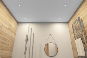 DK2036-WH Встраиваемый светильник влагозащ., IP 44, до 15 Вт, GU10, LED, белый, алюминий в Кунгуре - kungur.mebel24.online | фото 5