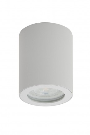 DK3007-WH Накладной светильник влагозащ., IP 44, 15 Вт, GU10, белый, алюминий в Кунгуре - kungur.mebel24.online | фото 1