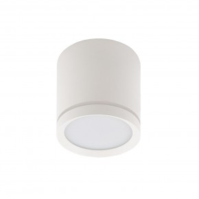 DK4013-WH Светильник накладной IP 20, 5 Вт, LED 4000, белый, алюминий/акрил в Кунгуре - kungur.mebel24.online | фото 2
