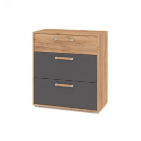 ФЛОРИДА Ф41 Комод (дуб золотой/графит) в Кунгуре - kungur.mebel24.online | фото