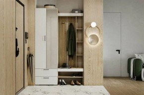 Гарнитур для прихожей Торонто в Кунгуре - kungur.mebel24.online | фото 5