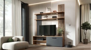 КАРОЛИНА Гостиная в Кунгуре - kungur.mebel24.online | фото