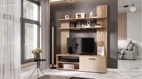 КАРОЛИНА Гостиная (дуб вотан/кашемир) в Кунгуре - kungur.mebel24.online | фото