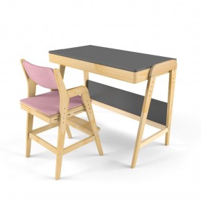 Комплект растущий стол и стул с чехлом 38 попугаев «Вуди» (Серый, Береза, Розовый) в Кунгуре - kungur.mebel24.online | фото