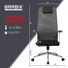 Кресло офисное BRABIX PREMIUM "Ultimate EX-801" хром, плотная двойная сетка Х2, черное/серое, 532918 в Кунгуре - kungur.mebel24.online | фото 5