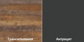 Кухня угловая Трансильвания 2600х1600 мм (Стол. 38 мм) в Кунгуре - kungur.mebel24.online | фото 3