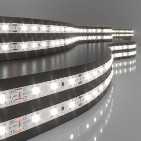 Лента светодиодная Elektrostandard 24V 4,8W a052954 в Кунгуре - kungur.mebel24.online | фото