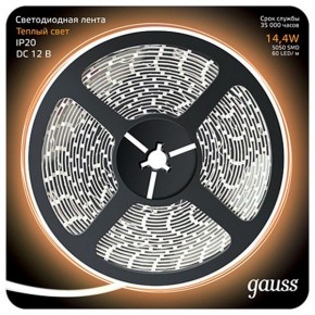 Лента светодиодная Gauss Gauss 312000114 в Кунгуре - kungur.mebel24.online | фото