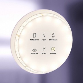 Лента светодиодная Maytoni Led strip 10103 в Кунгуре - kungur.mebel24.online | фото 2