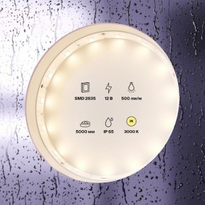 Лента светодиодная Maytoni Led strip 10105 в Кунгуре - kungur.mebel24.online | фото 2