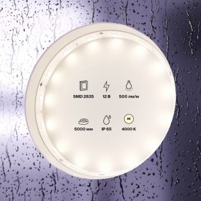 Лента светодиодная Maytoni Led strip 10106 в Кунгуре - kungur.mebel24.online | фото 2