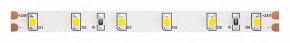 Лента светодиодная Maytoni Led strip 10138 в Кунгуре - kungur.mebel24.online | фото