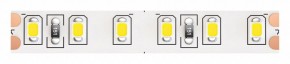 Лента светодиодная Maytoni Led strip 10147 в Кунгуре - kungur.mebel24.online | фото