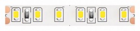 Лента светодиодная Maytoni Led strip 10153 в Кунгуре - kungur.mebel24.online | фото