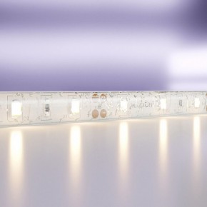 Лента светодиодная Maytoni Led strip 20005 в Кунгуре - kungur.mebel24.online | фото
