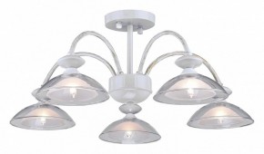 Люстра на штанге Arti Lampadari Noventa Noventa E 1.1.5 W в Кунгуре - kungur.mebel24.online | фото