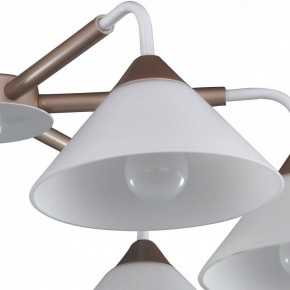 Люстра на штанге Arti Lampadari Ribera Ribera E 1.1.6 CW в Кунгуре - kungur.mebel24.online | фото 3