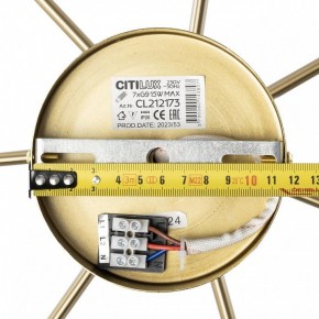 Люстра на штанге Citilux Tonga CL212173 в Кунгуре - kungur.mebel24.online | фото 9