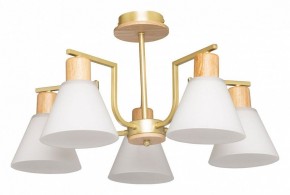 Люстра на штанге De City Дэла 45 635016505 в Кунгуре - kungur.mebel24.online | фото