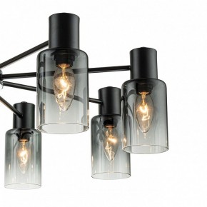 Люстра на штанге Escada Diversity 2120/8P Black в Кунгуре - kungur.mebel24.online | фото 5